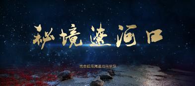 不能在这4个地方超车，容易发生车游戏画面