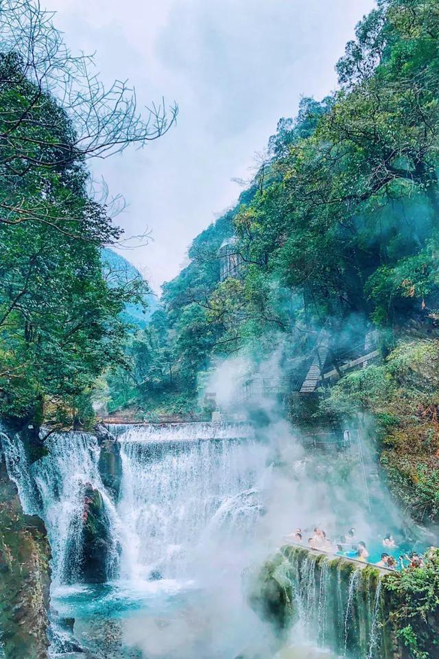 饥饿的松鼠救援